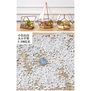 Đá Cuội Tự Nhiên Trang Trí Bể Cá