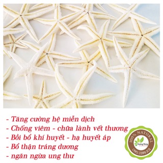Sao biển 1 con, loại to, chất lượng