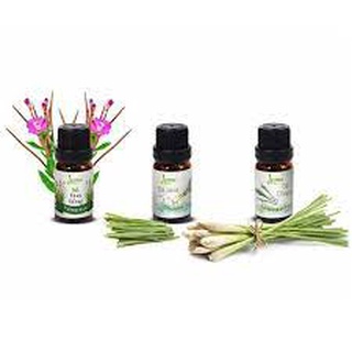 Combo  3 chai tinh dầu 100ml - Sả Chanh, Sả Hoa Hồng, Sả java