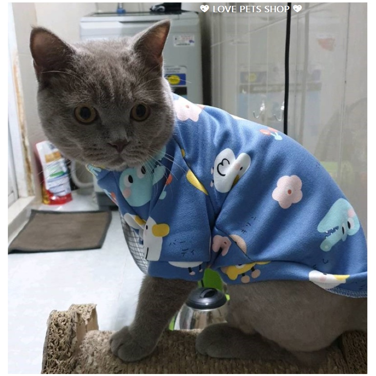 ÁO CHO CHÓ MÈO BẰNG VẢI NỈ HOẠ TIẾT DỄ THƯỚC - LOVE PETS SHOP