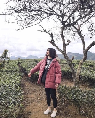 Phao mũ lông kèm ảnh thật