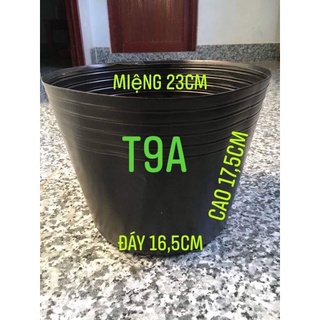 Chậu nhựa đen trồng cây C9
