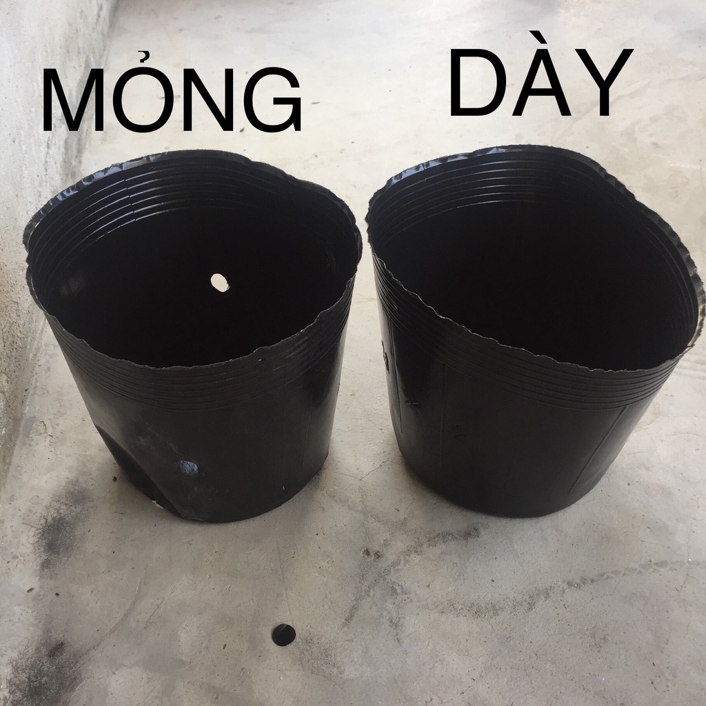 BẦU ƯƠM CÂY 26*21 DÀY VÀ MỎNG ( DỊCH TRUYỀN CHO CÂY, KÍCH RỄ , MẦM CÂY XANH LÁ, LƯỚI CHE NẮNG...)