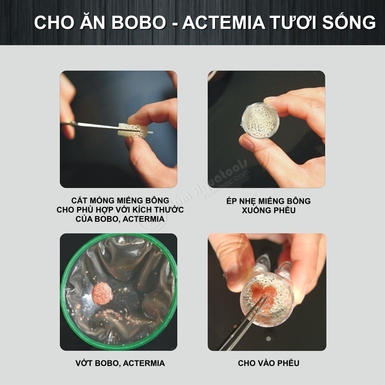 Phễu Acrylic Đa Năng Hình Ống Quần | Cho Cá Ăn Trùn Chỉ, Actermia, Bobo - Bẫy Sán - Bẫy Ốc Hại