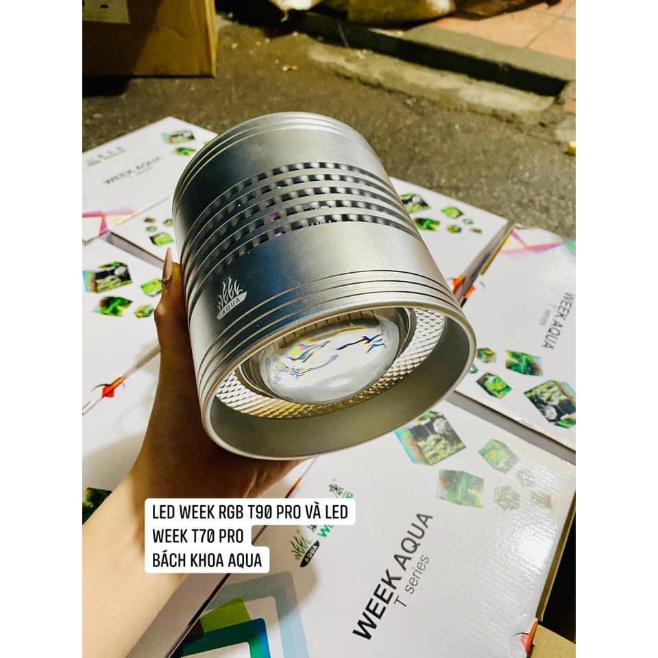 Đèn Led Week RGB T70 -T90 PRO