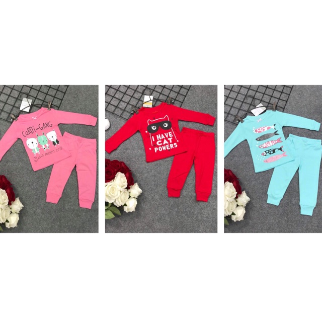 Set bộ dài bozip