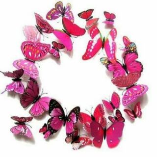 Bộ bướm trang trí 12 con
