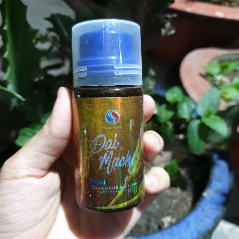 Tinh mùi Đại Mạch Sa phạm / Sapham