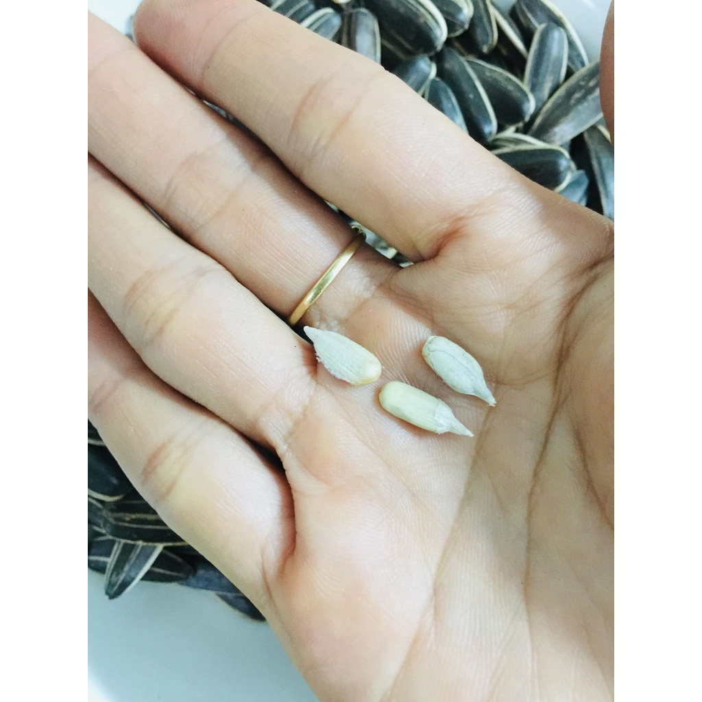 300g hạt hướng dương rang thơm giòn