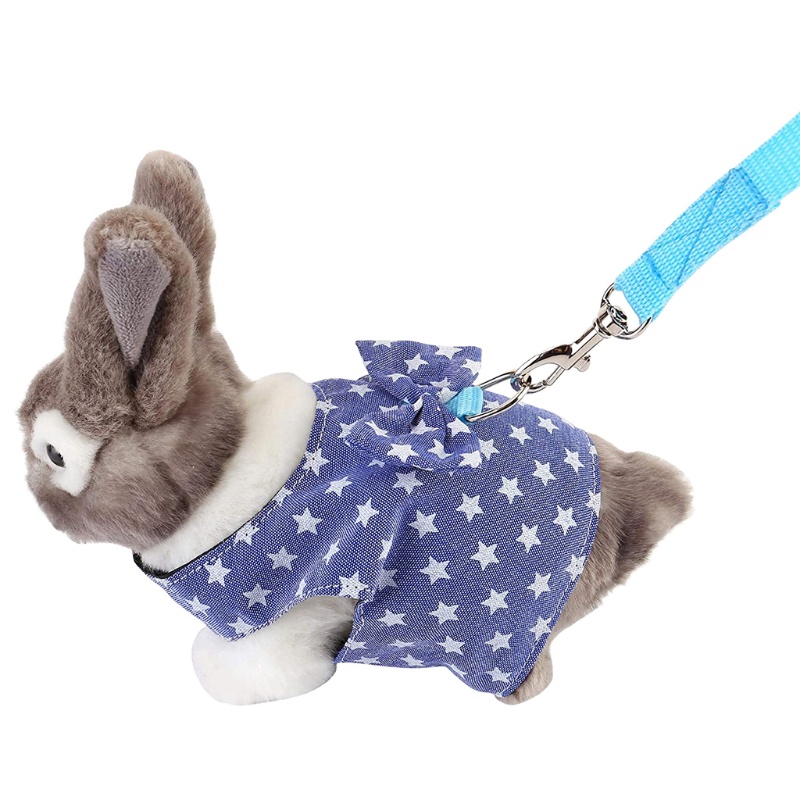 Bộ Áo Vest + Dây Dắt Thú Cưng Đi Dạo Chống Thoát Hiểm Dễ Điều Chỉnh Cho Thỏ / Chuột