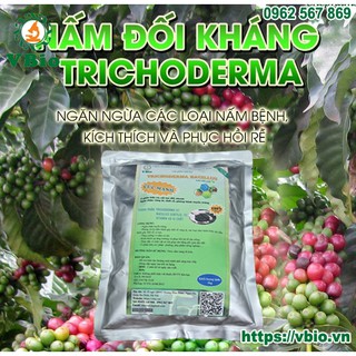 Men ủ sinh học Tricoderma -Chế phẩm sinh học Trichoderma - Phân ủ vi sinh