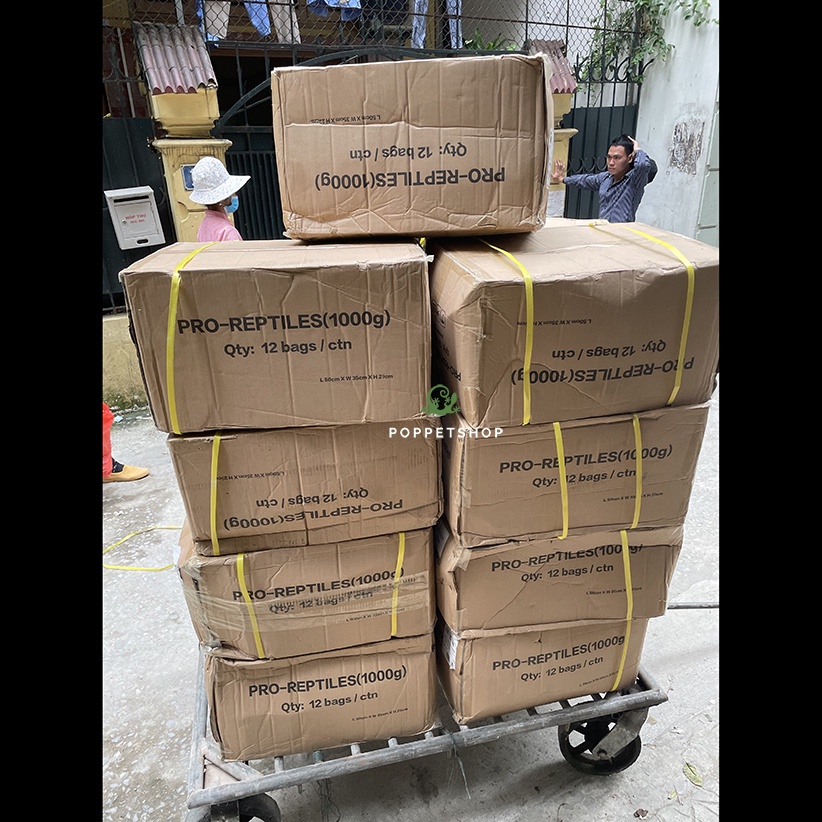 Thức Ăn Rùa Cạn Pro-Reptile 100gram . Cho Rùa châu phi, da báo, chân đỏ, ấn độ, hy lạp, nga