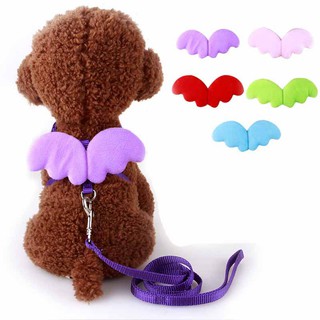 Set vòng cổ và dây dắt thú cưng đi dạo thiết kế hình đôi cánh thiên thần dễ thương