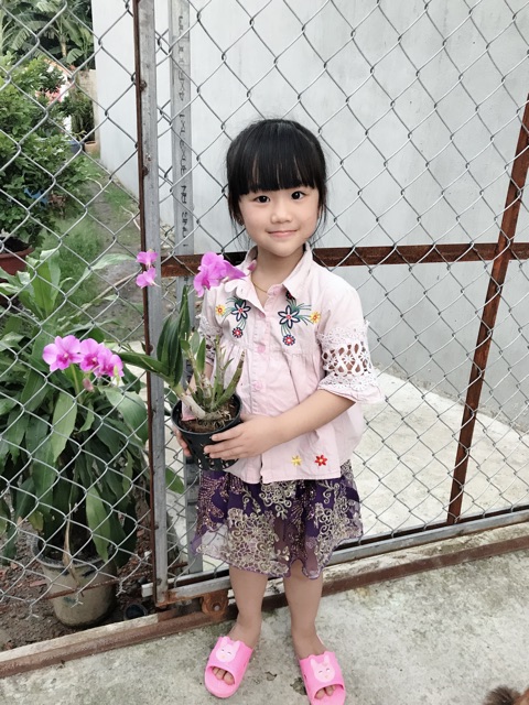 Denro mini yaya thanh lý