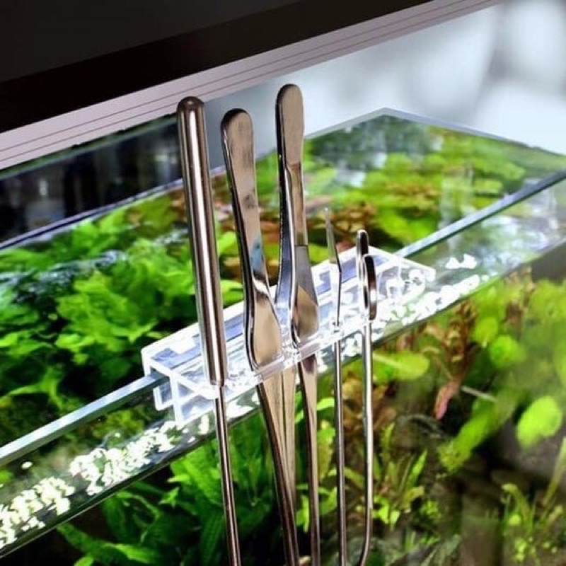 Giá treo dụng cụ hồ thuỷ sinh cá tép