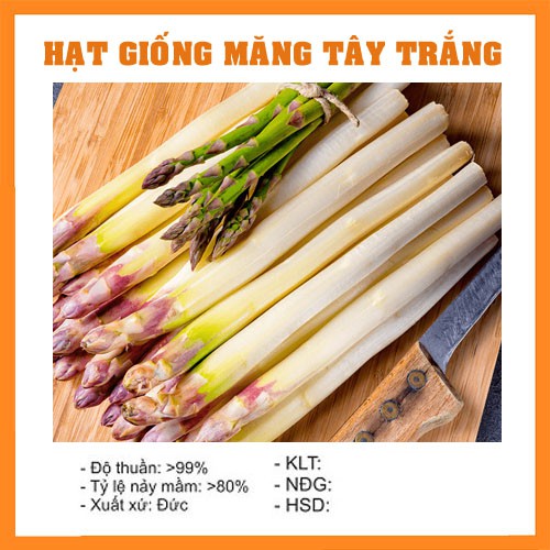 Hạt Giống Măng Tây Trắng - 10H