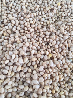 Bột ngũ cốc 7 loại hạt