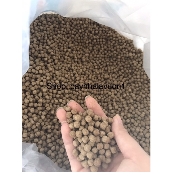 Cám cá siêu tăng trưởng dành cho cá từ 30gram đến khi thu hoạch