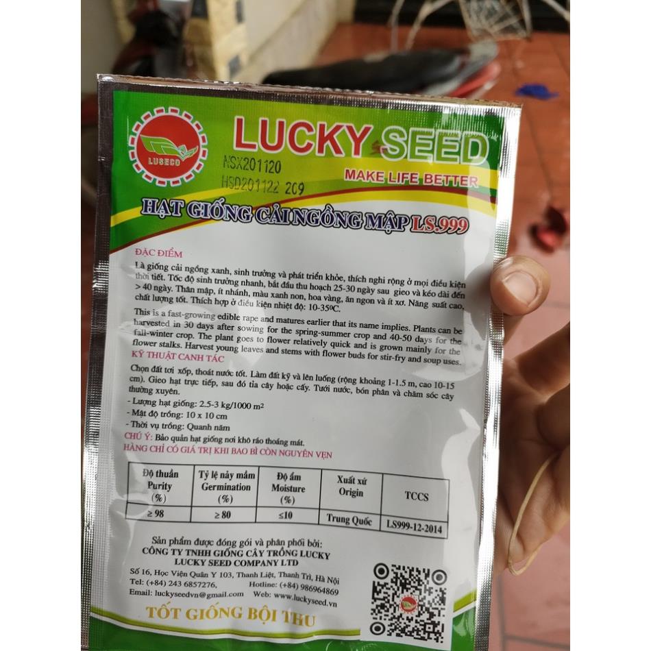 Hạt giống cải ngồng xanh 500 hạt