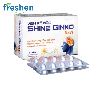 VIÊN BỔ NÃO SHINE GINKO