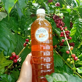 Mật ong nguyên chất hoa cà phê