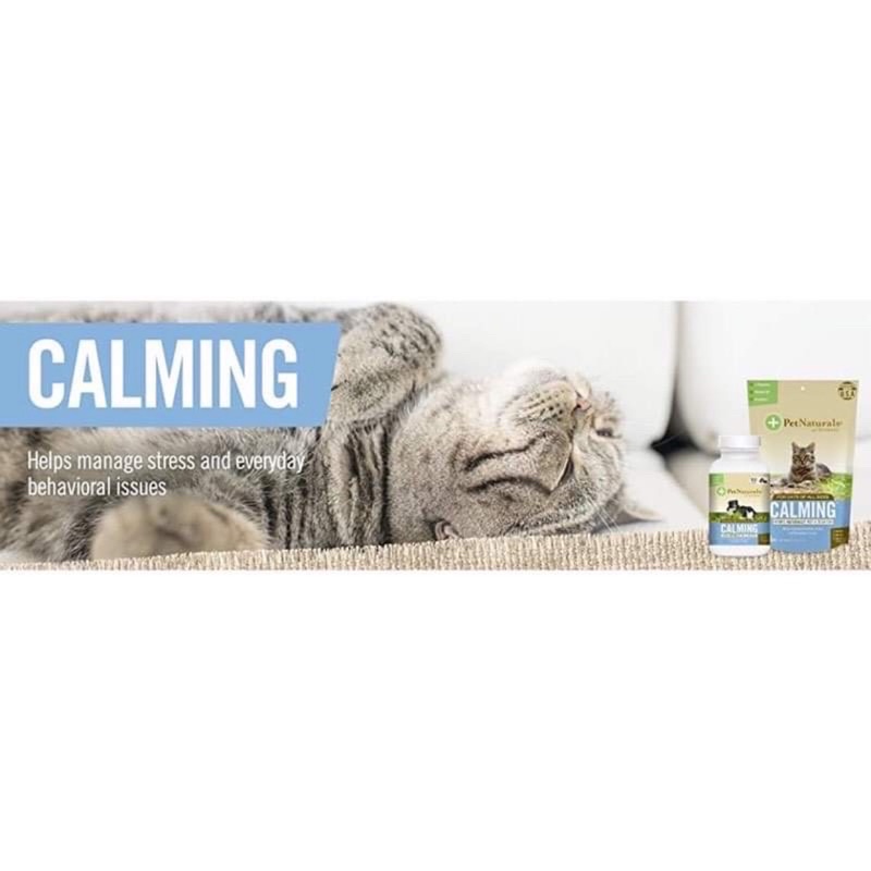 [Giao ngay HOẢ TỐC] Viên nhai Pet Naturals Calming giảm căng thẳng cho mèo - Pet Naturals of Vermont Calming