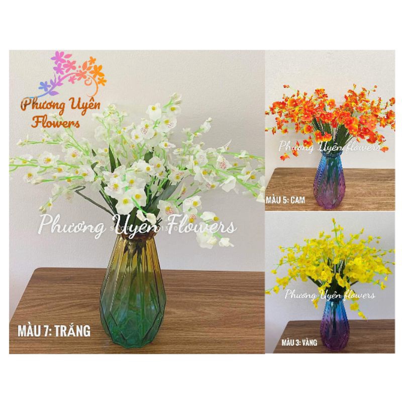 Combo 10 cành Lan Vũ Nữ Siêu Đẹp_hoa giả trang trí