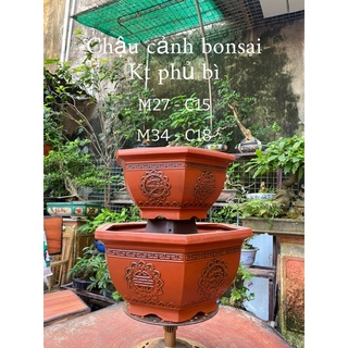 Chậu lục giác trồng cây - chậu trồng cây bonsai