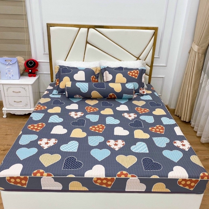 Bộ Ga Chun Trần Cotton Hàn Quốc Trần Bông Kèm 2 Vỏ Gối m6 m8 2m2 nhiều mẫu