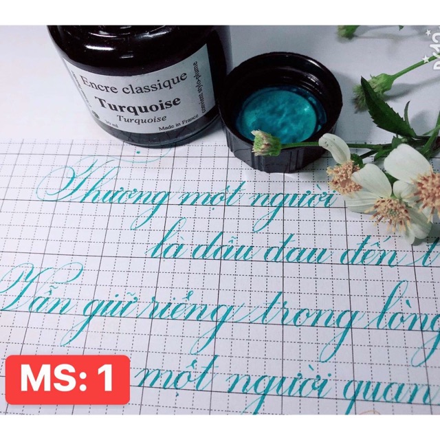 mực encre classique ( mực pháp)