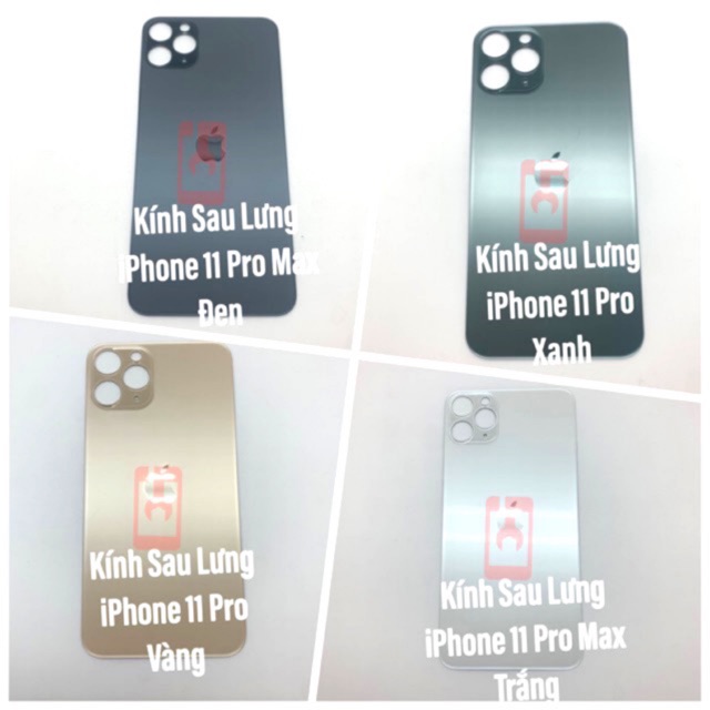 TDS28 Mặt Kính Sau Lưng iPhone 11 Pro / 11 Pro Max Sechu-9002