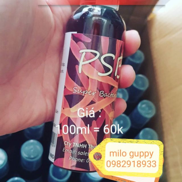 Vi khuẩn quang hợp