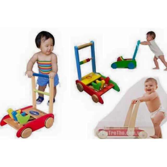 Tập đi 3 con gà