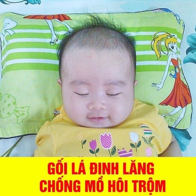 Gối đinh lăng