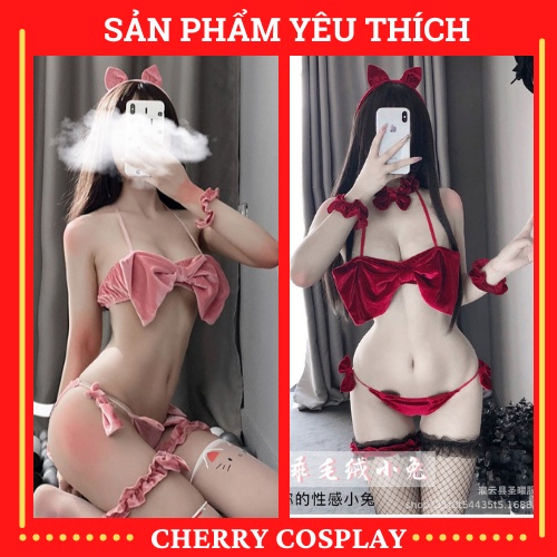 Full Set 2 Mảnh Cosplay Mèo Con đáng Yêu - Đồ Ngủ Cosplay Miêu Nữ Vải Nhung Sexy (đen,hồng,đỏ) | BigBuy360 - bigbuy360.vn