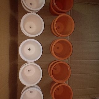 Chậu đất nung 9cm x 9cm