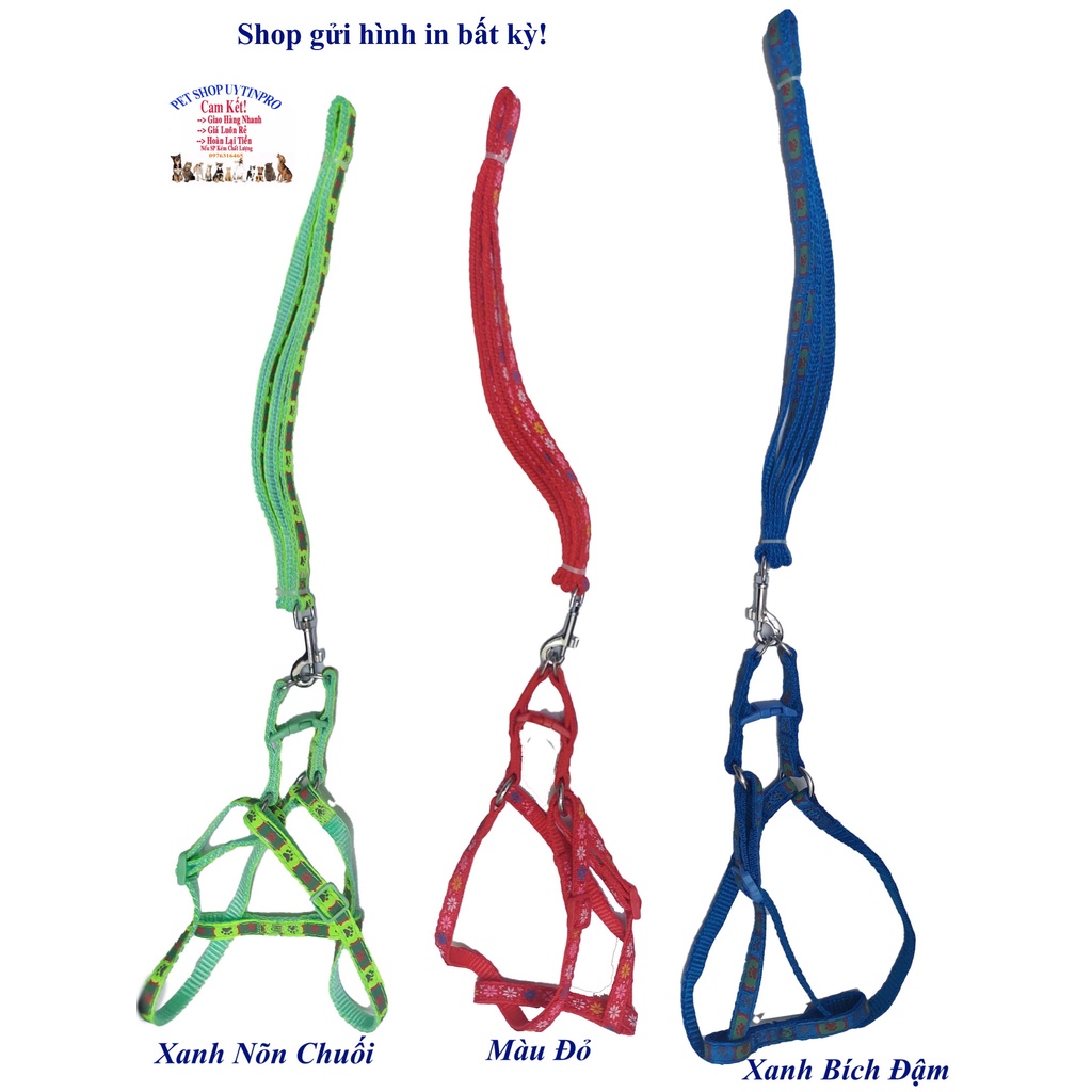 Dây dắt kèm yếm cho Chó Mèo Dưới 5kg Bản rộng 1cm Dài 120cm Zichen In hình bất kỳ Chất liệu dù cao cấp Bền Chắc, An toàn