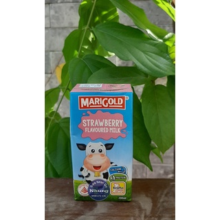 Sữa tươi Marigold