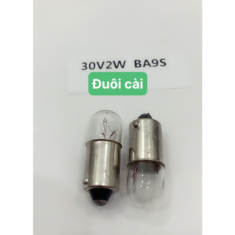 Bóng đèn tín hiệu 2W  đuôi cài hoặc đuôi xoắn TQ