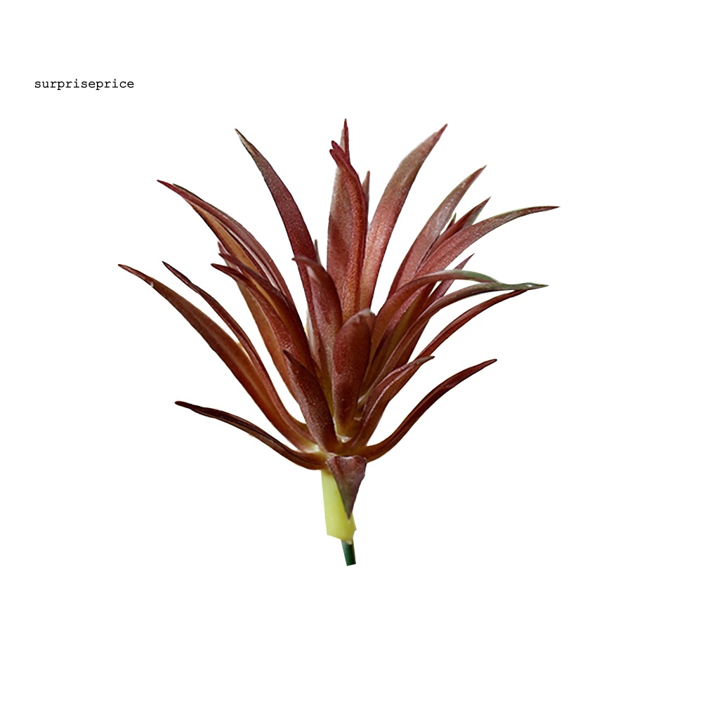 1 Cây Sen Đá Nhân Tạo Sinh Động Dùng Trang Trí Nhà Cửa/Văn Phòng DIY