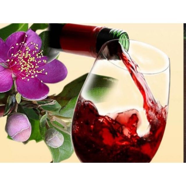 1kg Quả sim khô, chuẩn rừng loại 1 | BigBuy360 - bigbuy360.vn