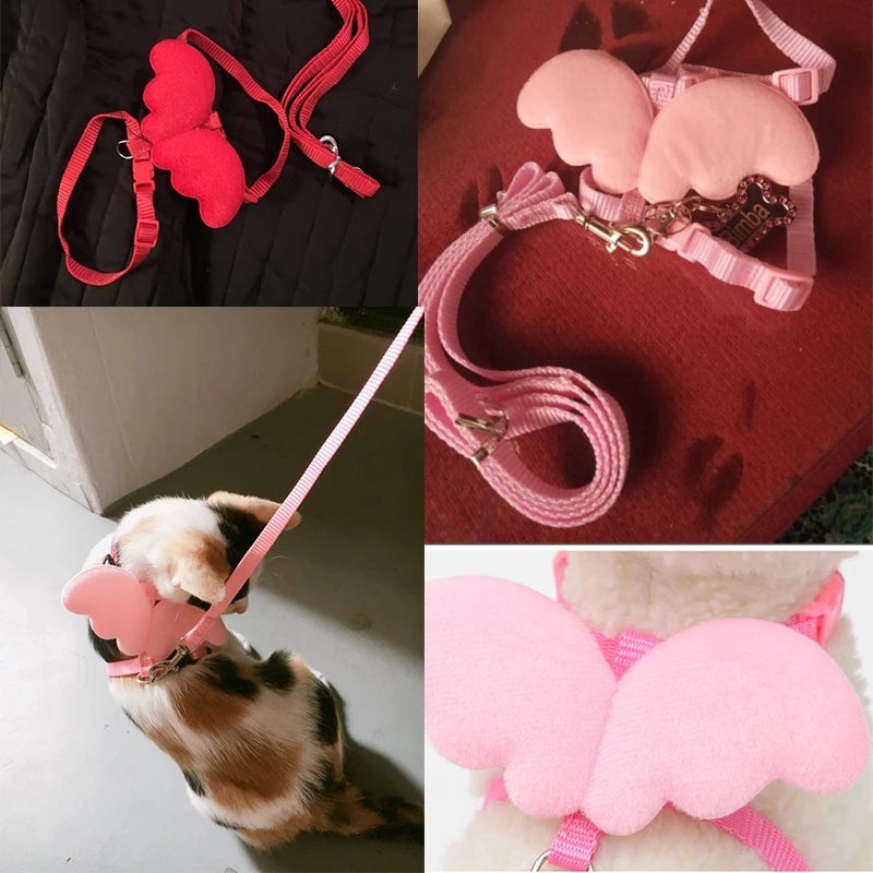 Dây Dắt Thú Cưng Đi Dạo Hình Đôi Cánh Thiên Thần Thoáng Khí 27Pets