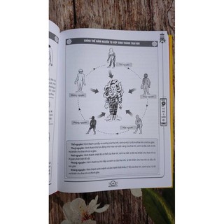 Tứ Bộ Y Điển - Mật Pháp Và Thực Dung (Tập 1)