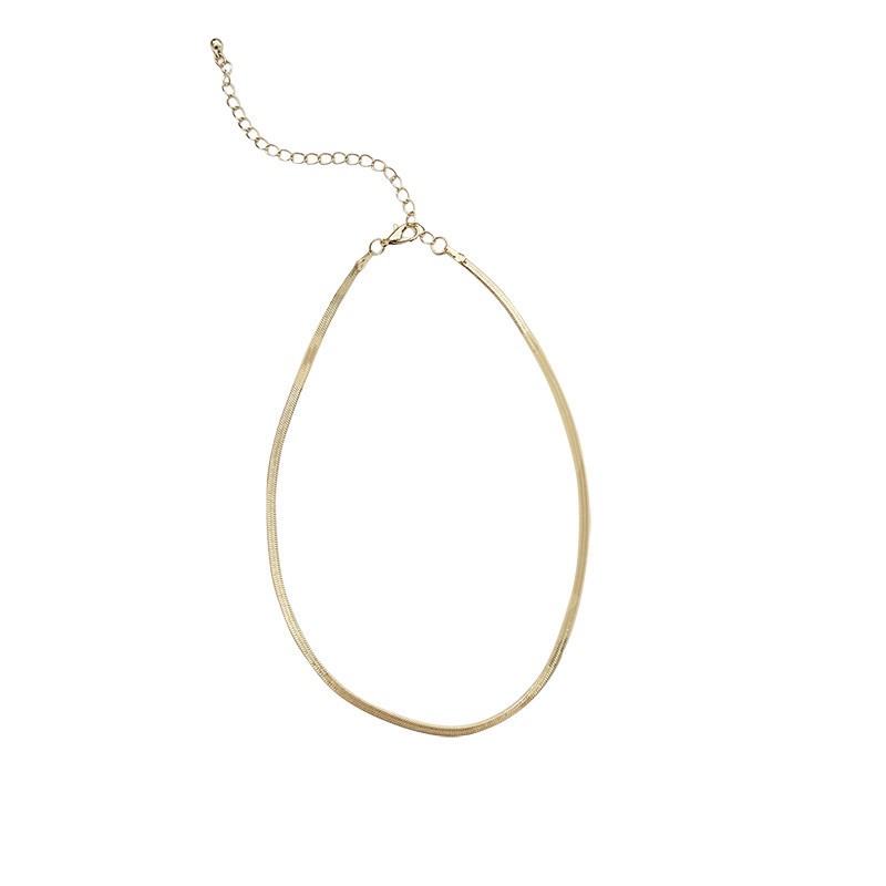 Dây chuyền thiết kế kiểu xương rắn phong cách Âu Mỹ B0020