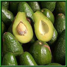 Bơ Sáp Đăk Lăk Thơm bùi Ngon ngọt giao Hỏa tốc