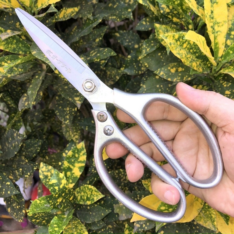 Kéo thực phẩm Nhật chính hãng, cắt gà, vịt, thực phẩm, sắc bén, không rỉ, không cùn, Sài bền bĩ