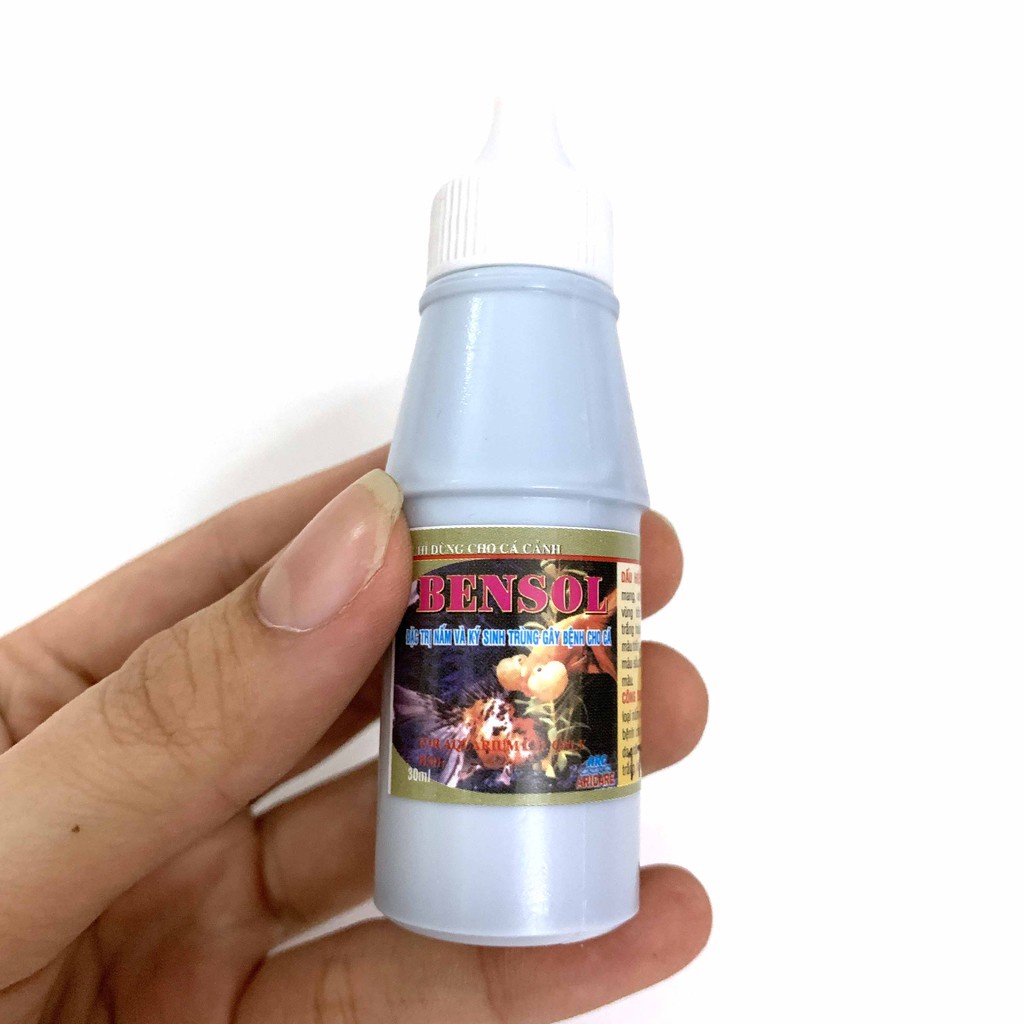 Dung Dịch Phòng Nấm Bensol 30ML - Phụ Kiện Hồ Cá Bensol