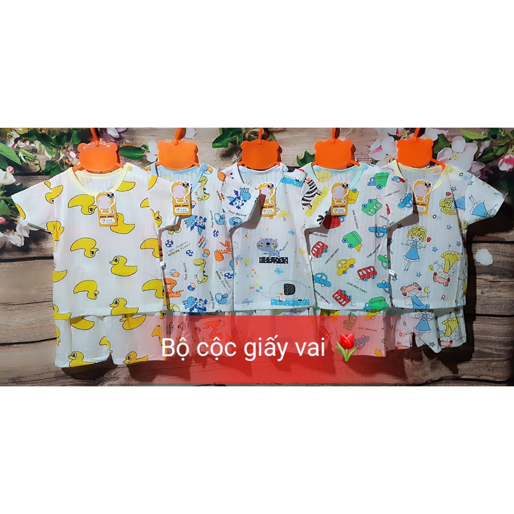 RẺ VÔ ĐỊCH - Bộ cộc tay thun cotton giấy cho bé 3-15kg