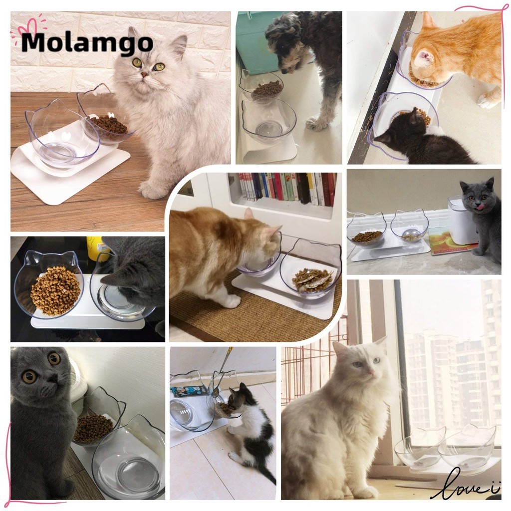 MOLAMGO Tô đựng đồ ăn cho thú cưng