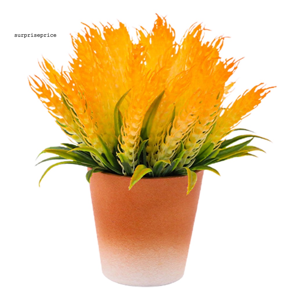 Chậu Cây Lúa Mì Nhân Tạo 6 Màu Độc Đáo Trang Trí Nhà Cửa / SPA